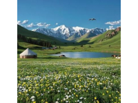新疆旅行攻略｜穿越天山南北，这7天让我彻底沦陷在人间的最后一片净土！