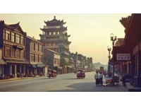盐城公交之旅：穿越故城寻找丹顶鹤