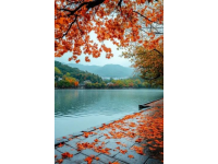 贵州必游十大景点排行榜，秋季美景不容错过