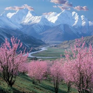 林芝桃花节深度游路线:大峡谷美景与沿途打卡胜地攻略