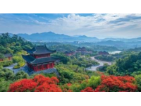金华武义3天2晚自驾游攻略：春日踏青之旅