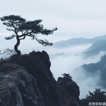 九皇山旅游攻略:畅游四川美景指南
