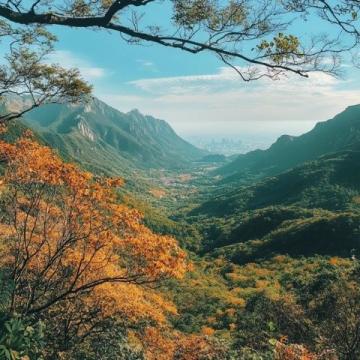 最新!西樵山免门票啦!佛山必玩景点全攻略,交通、索道、观光车信息全掌握