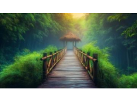 湖北黄水避暑旅游攻略及景点推荐