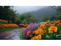千年傣王御花园，西双版纳必游景点