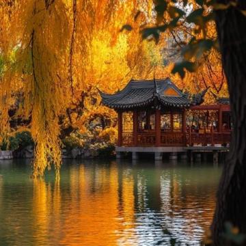 11月来贵州5天怎么玩?超详细行程安排!11月份来贵州旅游,给大家列一份贵州5