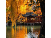 11月来贵州5天怎么玩？超详细行程安排!11月份来贵州旅游，给大家列一份贵州5