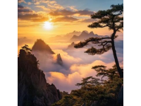 宁波黄山高铁之旅指南