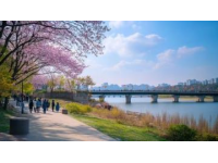 2025攀枝花阳光之旅：探索花城之美