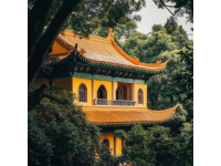 河南之旅惊喜不断：从郑州到淮阳太昊陵的意外发现
