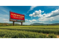 迭部出发，独库公路（甘肃段）起点，路况信息分享