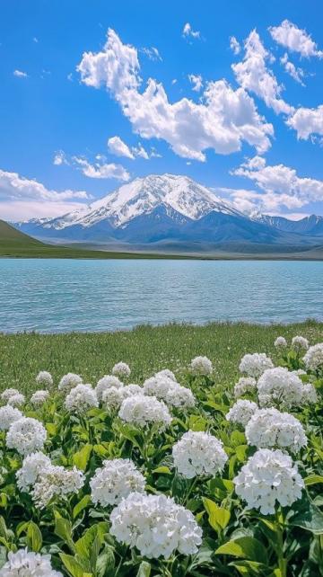 5-6月新疆深度游:邂逅花海、雪山与环线秘籍