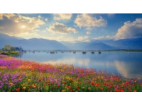 云南美景旅游攻略(云南美景旅游攻略邂逅人间仙境)