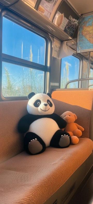 熊猫专列、草原之星,来看看各大铁路局旅游列车都是什么!!!