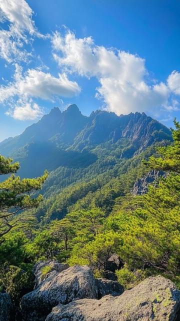 泰山自由行攻略:爬泰山前的必备规划指南