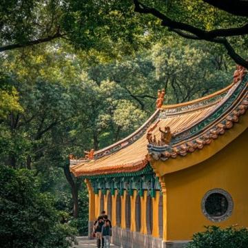 解锁九江南山公园:诗意之旅攻略 - 探秘城市绿肺,享受历史与自然的完美融合