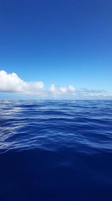 海洋光谱号自由行_海洋光谱号岸上自由行篇(一)