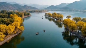 神仙居景区探索攻略:仙境之旅不容错过