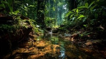 探索泰国湄赛Moei River:KK园区宝石奇遇记