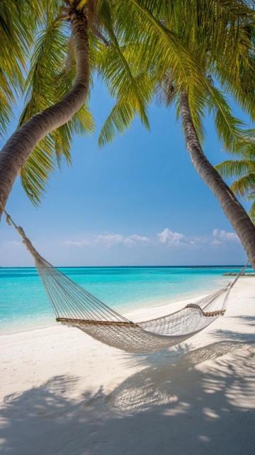 在经济下行的背景下,许多人或许会对假期旅游的热潮感到困惑