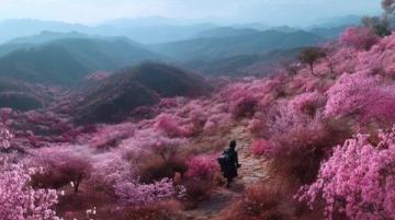 太白山旅游攻略app 太白山旅游攻略2日游