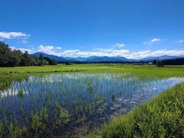 青甘环线九日游:门源油菜花海到茶卡盐湖,逆时针经典路线指南