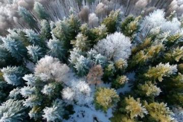 成都周边最美的雪景!瓦屋山冬季旅游攻略,衣物、交通指南,门票费用,拍照点位,美食推荐。