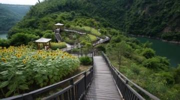 东极岛旅游攻略详解