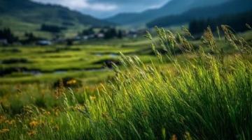 喀拉峻大草原|绝美旅行攻略