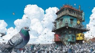 信鸽如何在长途旅行中精准导航回家的秘密