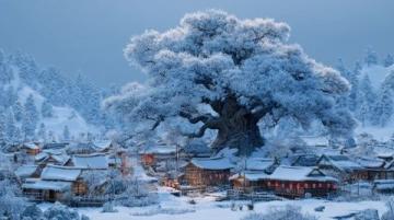 冰雪旅游导游接待注意事项