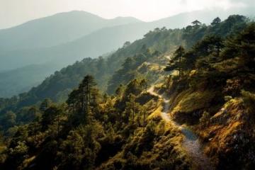 旅行的魅力在于沿途的风景而非终点