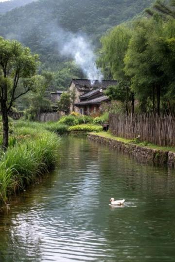 班彦村依托特色产业发展实现脱贫致富之路