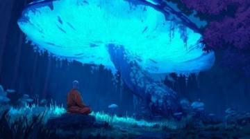 云南一对情侣偶遇倒立蘑菇,真菌生长逆向吸引好奇心