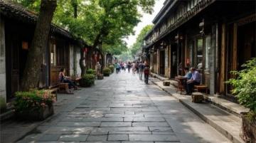 年轻游客新宠:成都的文化与自然之旅