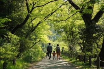 春游好去处!3-4月十大绝美景地,第五处人少景美人更爱藏