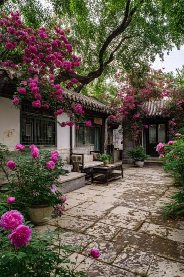 苏州旅游景点推荐必去这几个地方不踩雷