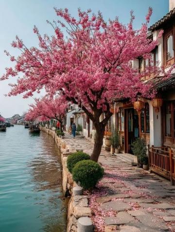 2025年2月云南腾冲经济旅游攻略:人均600元赏樱泡温泉,和顺古镇、热海、火山公园深度体验
