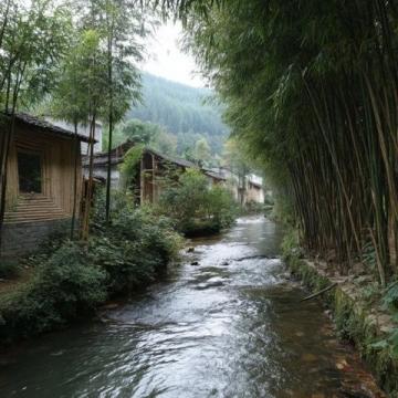 五一淄博自驾两日游:海豚之旅与美食探险