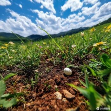 五一就近游:辉县关山地质公园一日亲子徒步之旅