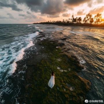 北海金海湾红树林自驾游攻略:20平方公里生态保护区探秘之旅