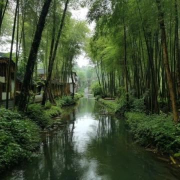 发现宝山:不一样的旅游体验在上海等着你