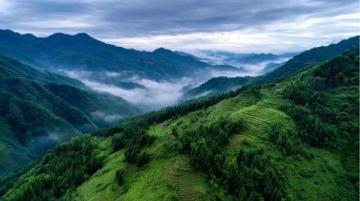 我的旅行日记都江堰一夜游(在头条记录我的2025旅行我的旅行日记都江堰超全精简攻略)