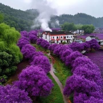昆明旅游攻略:探索春城的多彩之旅