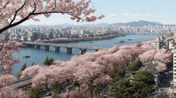 2023年五一旅游城市推荐,避开人潮,畅享美好时光!