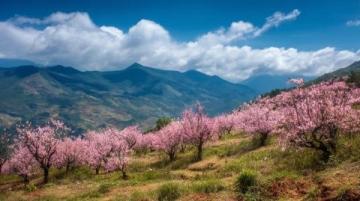 阿尔山旅游攻略:春日自然奇观与人文风情体验