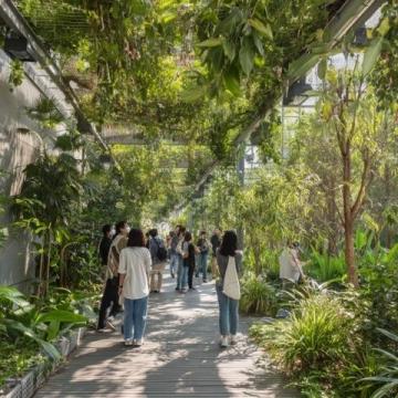 昊铂之旅:穿行于中山至四会的绿色科技长廊