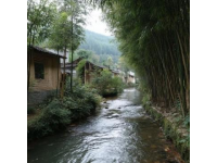 五一淄博自驾两日游：海豚之旅与美食探险