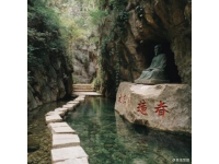 中山：夏日清凉之选，免费景点丰富，适合全家游玩