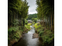 云阳周末旅游攻略（2天1夜）